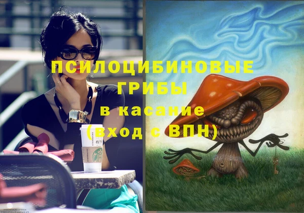 МДПВ Билибино