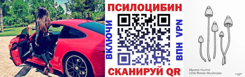 ссылка на мегу сайт  Усолье  Псилоцибиновые грибы Psilocybe 